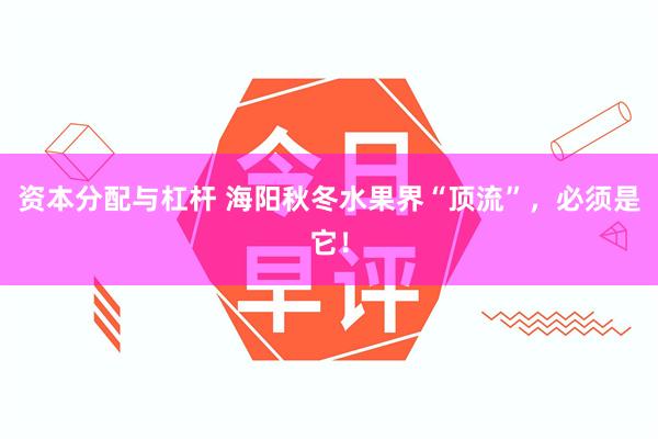 资本分配与杠杆 海阳秋冬水果界“顶流”，必须是它！