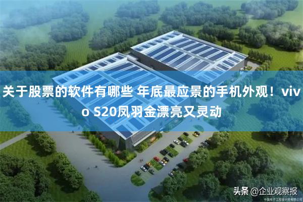 关于股票的软件有哪些 年底最应景的手机外观！vivo S20凤羽金漂亮又灵动