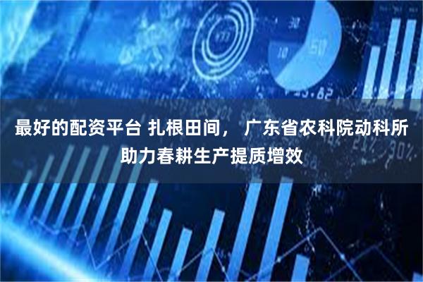 最好的配资平台 扎根田间， 广东省农科院动科所助力春耕生产提质增效