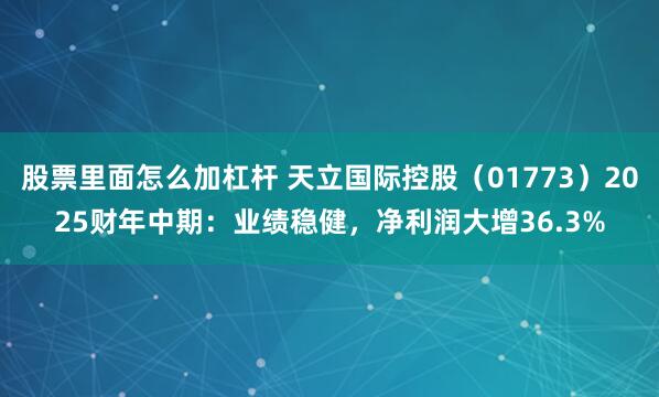 股票里面怎么加杠杆 天立国际控股（01773）2025财年中期：业绩稳健，净利润大增36.3%