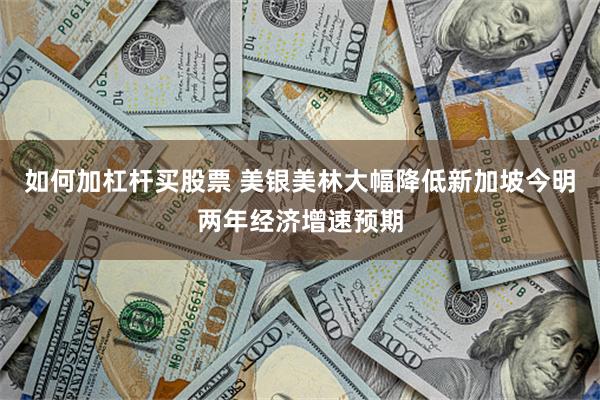 如何加杠杆买股票 美银美林大幅降低新加坡今明两年经济增速预期
