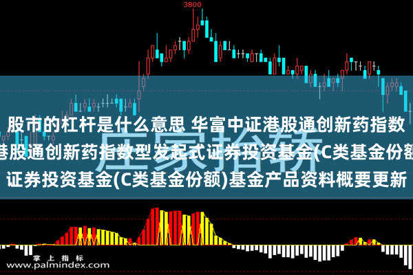 股市的杠杆是什么意思 华富中证港股通创新药指数型发起式C: 华富中证港股通创新药指数型发起式证券投资基金(C类基金份额)基金产品资料概要更新