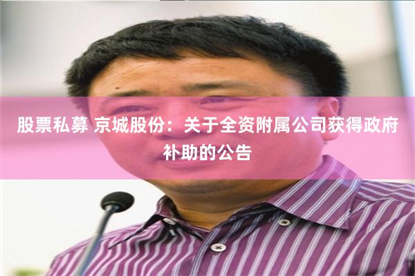 股票私募 京城股份：关于全资附属公司获得政府补助的公告
