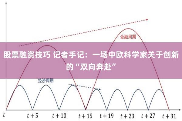 股票融资技巧 记者手记：一场中欧科学家关于创新的“双向奔赴”