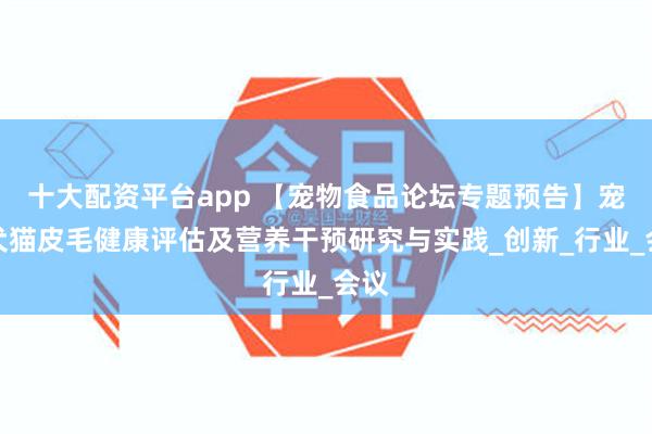 十大配资平台app 【宠物食品论坛专题预告】宠物犬猫皮毛健康评估及营养干预研究与实践_创新_行业_会议