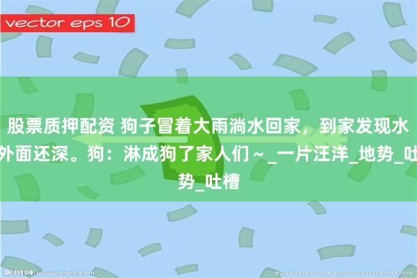 股票质押配资 狗子冒着大雨淌水回家，到家发现水比外面还深。狗：淋成狗了家人们～_一片汪洋_地势_吐槽