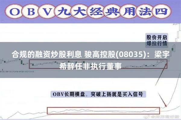 合规的融资炒股利息 骏高控股(08035)：梁宇希辞任非执行董事